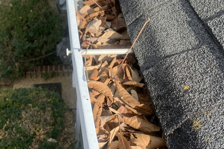 Gutter Cleaning Speedway