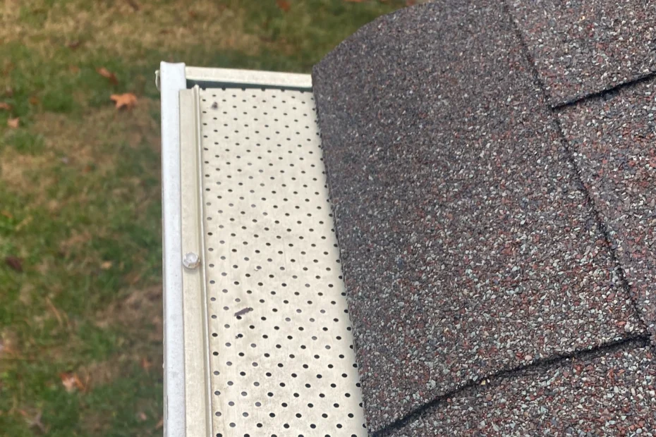 Gutter Cleaning Speedway