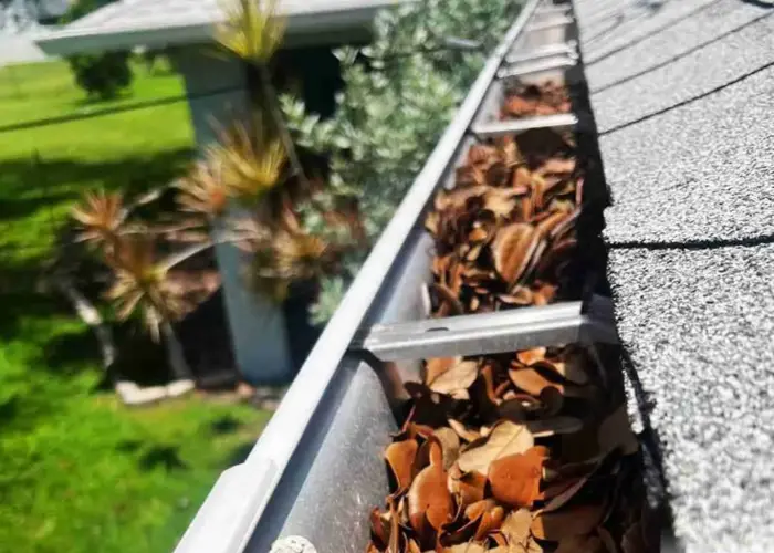 Gutter Cleaning Speedway home page